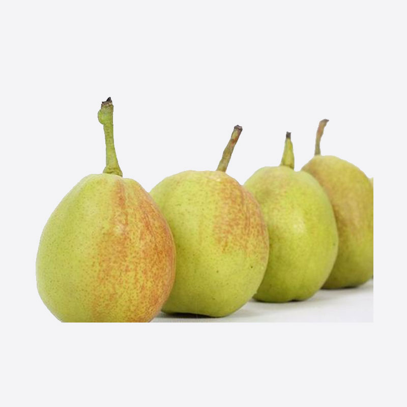 New Fragrant Pear