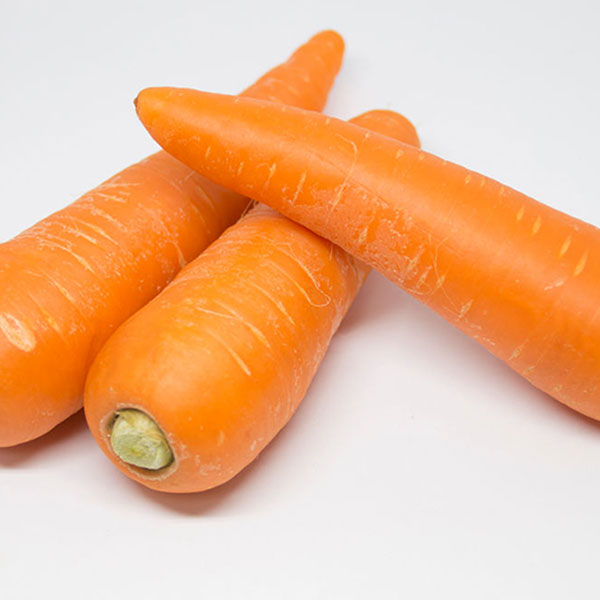 Carrot