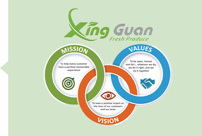 公司的核心价值观